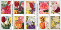 1 Sheet - 2016 Botanical Art Forever Stamps