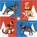 1 Sheet - 2019 Military Working Dogs Forever Stamps
